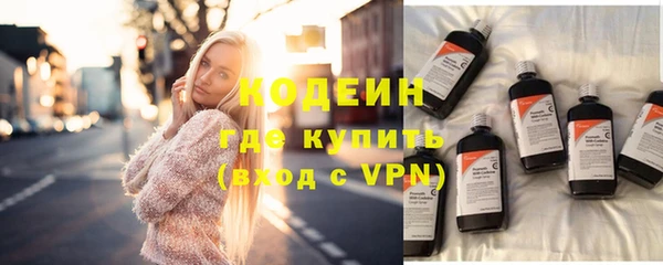 скорость Каменка
