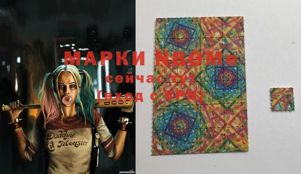 скорость Каменка