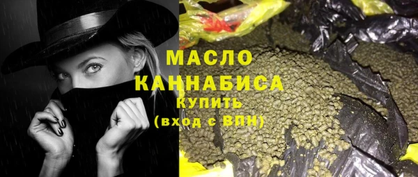 скорость Каменка