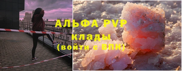 скорость Каменка